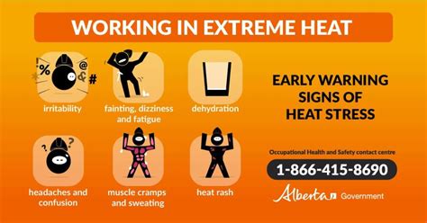 10. Avoid Extreme Temperatures