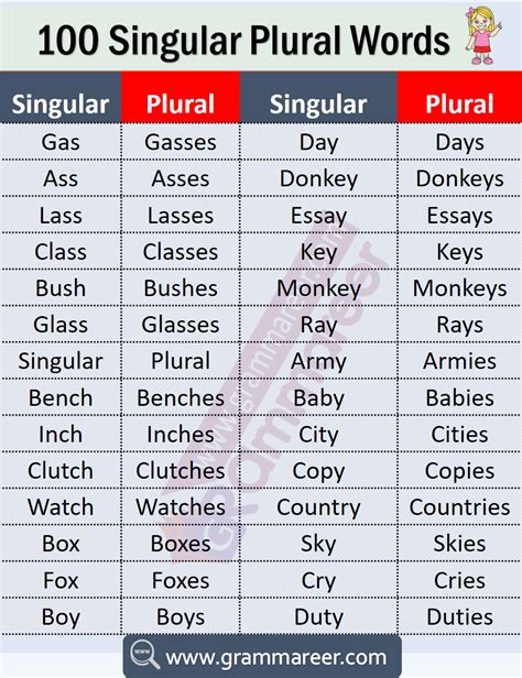 100 examples of singular and plural