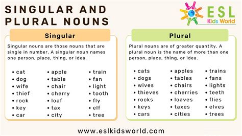 100 examples of singular and plural with answers