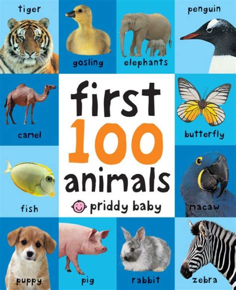 Discover the Wonders of Wildlife with the 100 First Animals Book - Perfect for Young Nature Enthusiasts!