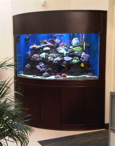 100 gallon saltwater fish tank for sale