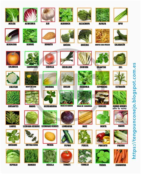 100 nombres de verduras verdes
