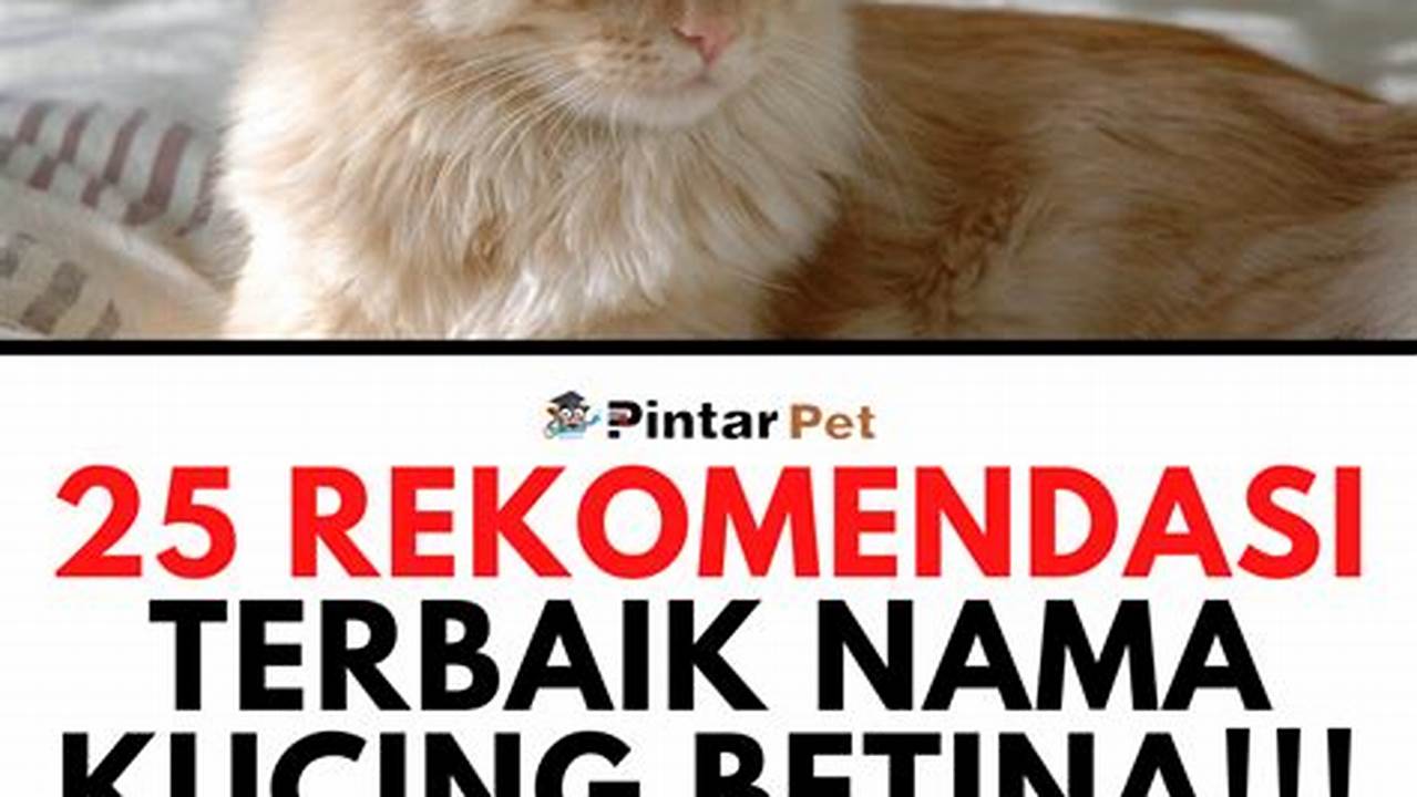 1000 Pilihan Nama Kucing Betina yang Unik dan Bermakna