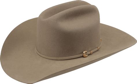1000x American Hat