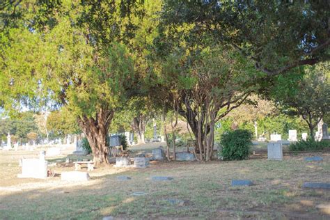 107. Cemetery Shade