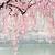 1080p cherry blossom wallpaper hd