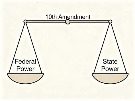 10Th Amendment Drawing