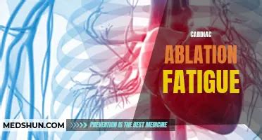 11 Cardinal Sins Exacerbating Cardiac Dilation: A Comprehensive Guide.