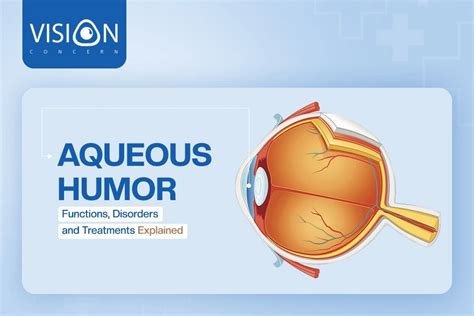 11 Decoding Aqueous Humor: Functions, Disorders & Ocular Physiological Insights.