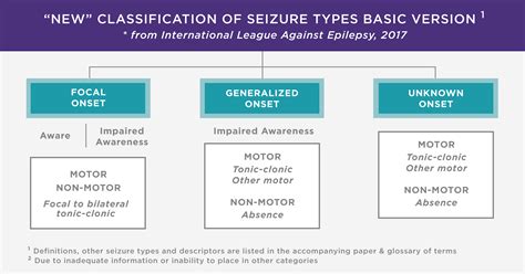 11 Decoding Epileptic Seizures: Comprehensive Types & Neurological Insights.