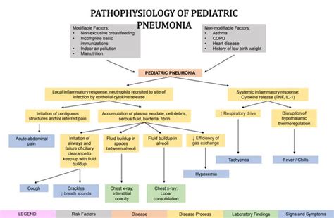 11 Decoding Pediatric Pneumonia: A Parent’s Comprehensive Guide.
