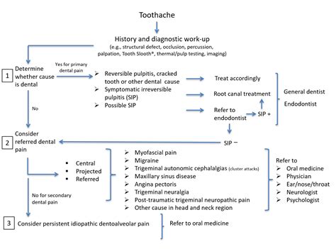 11 Decoding Persistent Toothache: Causes, Treatments, and Proactive Strategies.