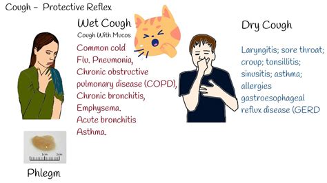 11 Key Differences Between Dry and Phlegmy Coughs Explained