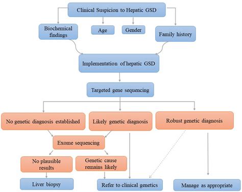 11 Methods to Optimize Hepatic Function & Prevent Pathology.