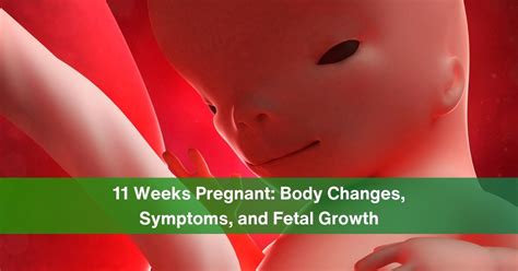 11 Pregnancy & Celibacy: Unveiling Physiological & Psychological Ramifications.
