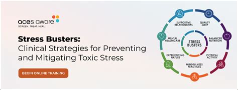 11 Strategies for Mitigating Stress & Cultivating Serenity.