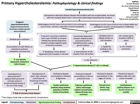 11 Subtle Indicators of Hypercholesterolemia: A Comprehensive Guide.
