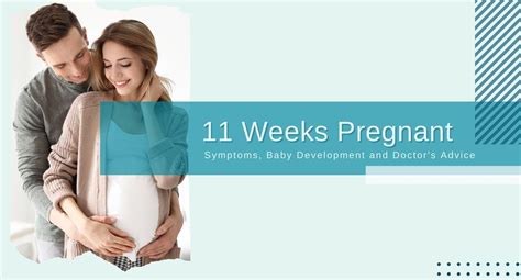 Your 11 Week Pregnancy: What to Expect and Baby's Growth Milestones