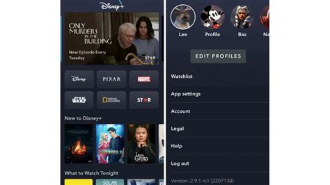 11. Sign Out of Disney Plus