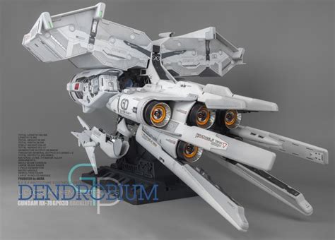 1144 Dendrobium Review