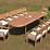 20 Elegant 12 Seater Garden Dining Set And today, here is the 1st