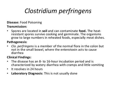 12 Clostridium: Understanding Transmission, Types & Proactive Prevention Strategies.