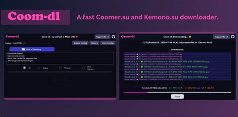 12 Coomer.su Downloader Tips For Easy Access