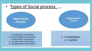 12 Decoding Dissociative Social Interaction: Impacts & Cognitive Nuances