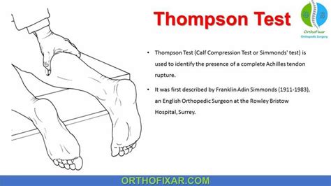 12 Decoding Thompson’s Test: Clinical Significance & Diagnostic Nuances.