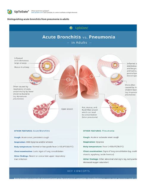 12 Distinguishing Bronchitis & Pneumonia: Symptoms, Causes, and Prognosis.