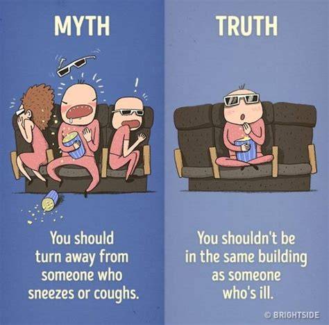 12 Myths About Goedert Debunked