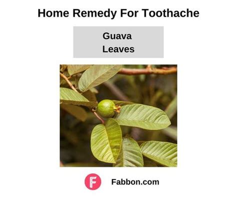 12 Proven Methods to Alleviate Acute Toothache & Swelling.