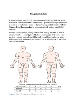 12 Proven Methods to Alleviate Burns & Blister Discomfort.