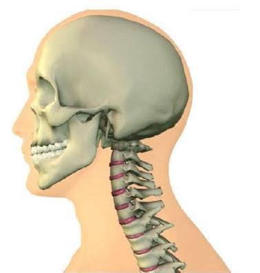 12 Strategies for Optimal Cervical Health and Function.