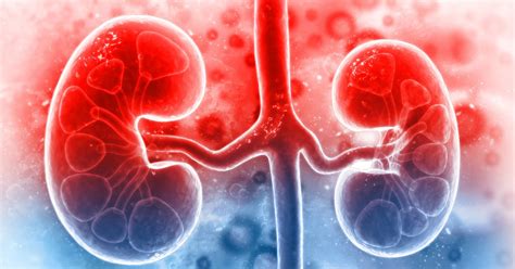 12 Subtle Kidney Failure Signs: Early Detection & Proactive Health.