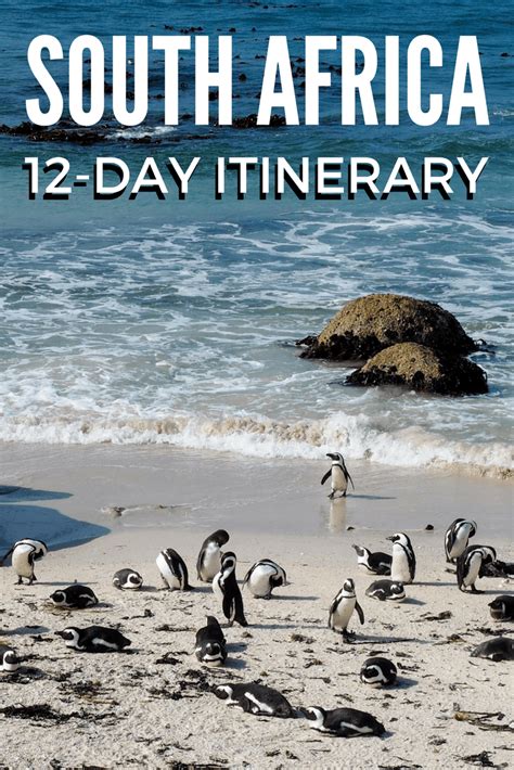 12 day itinerary south africa
