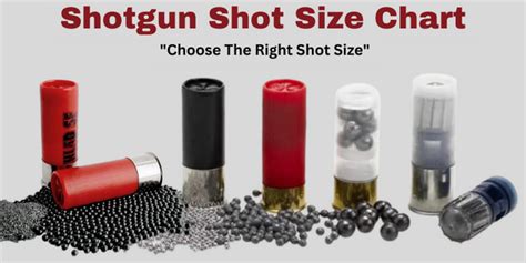 12 Gauge Shotgun Shell Size Chart 