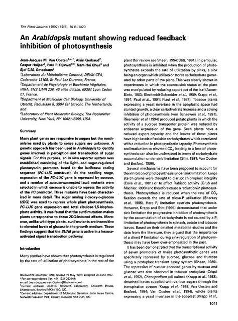 Unlock the Ultimate Guide: 12 Game-Changing Hypercardioid Techniques for Feedback-Free Sound