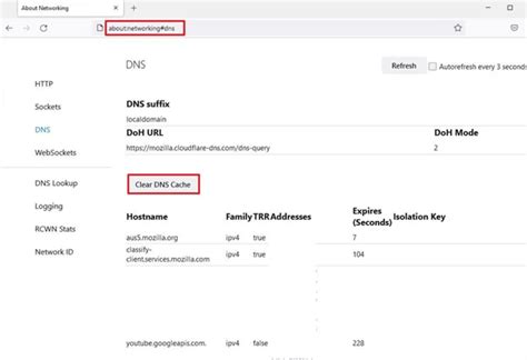 12. Clear the DNS Cache