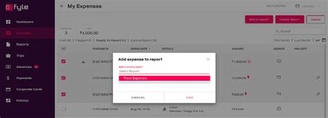 12. Fyle: Expense Reports