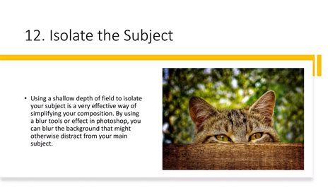 12. Isolate the Subject