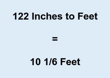 The record for one of these is 122 feet and one inch tall. WQNY