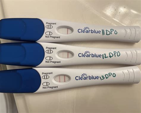 13 dpo bfp
