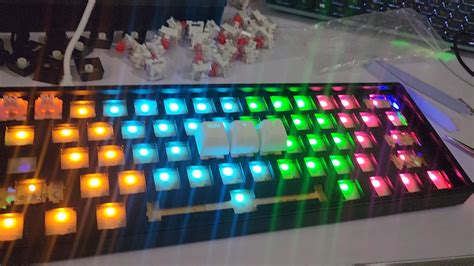 The Shocking Truth About Porncelebs Monal Monopoly Fades Fast!