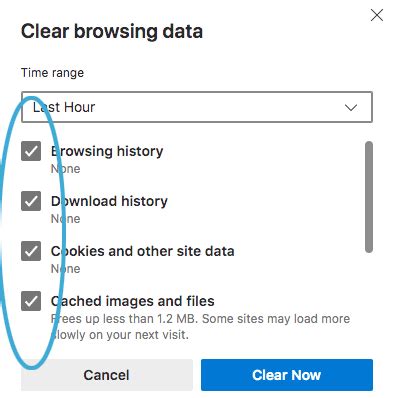 13. Clear Disney Plus Site Data