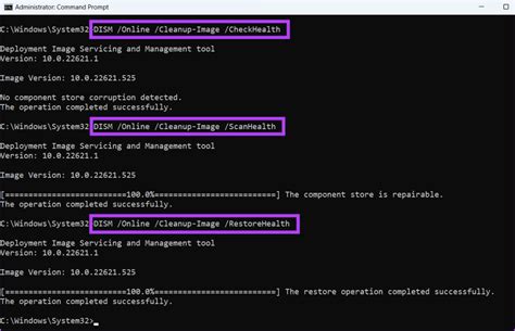 13. Perform a DISM Scan