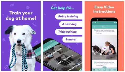 14 Best Dog Training Apps for iOS and Android