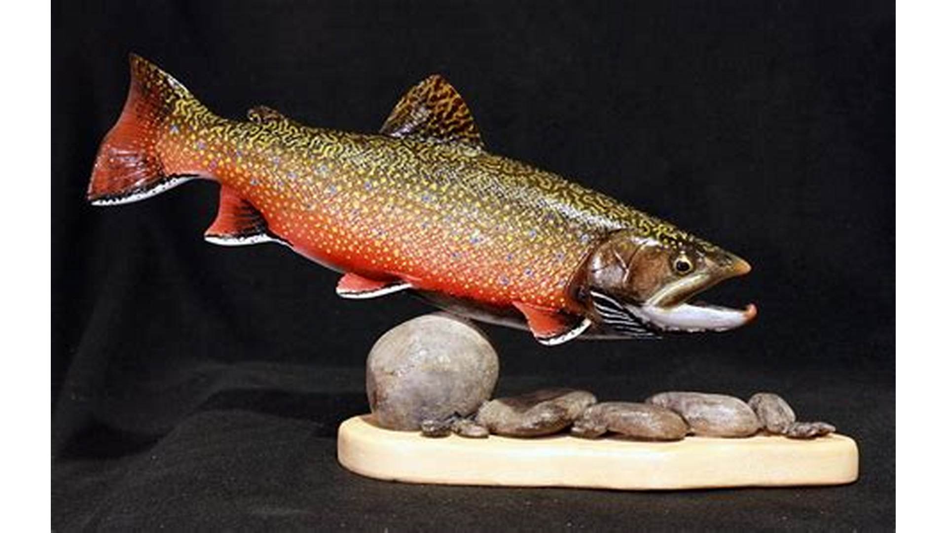 14 Inch Brook Trout