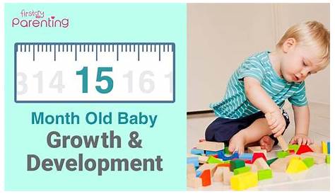 15 Month Old Baby Girl Development And Schedule What Should At