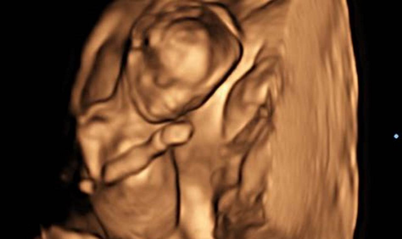 Prepare for Your 15-Week Ultrasound: A Detailed Guide to Fetal Development